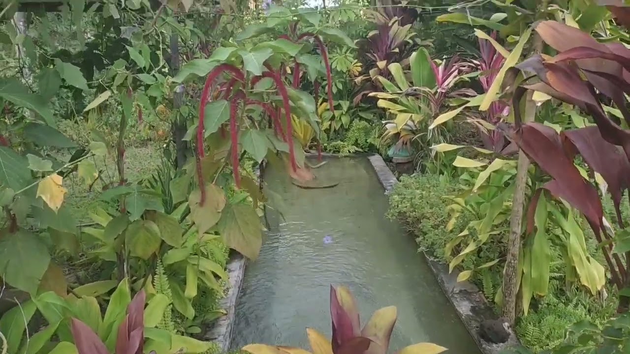 vende se uma casa em cumuruxatiba bahia  beira praia por um preço especial