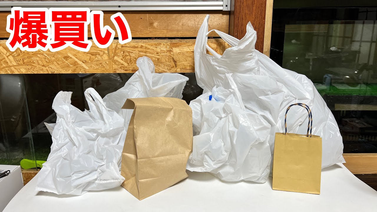 生き物即売会で久々の爆買い&お迎えをしてしまいました
