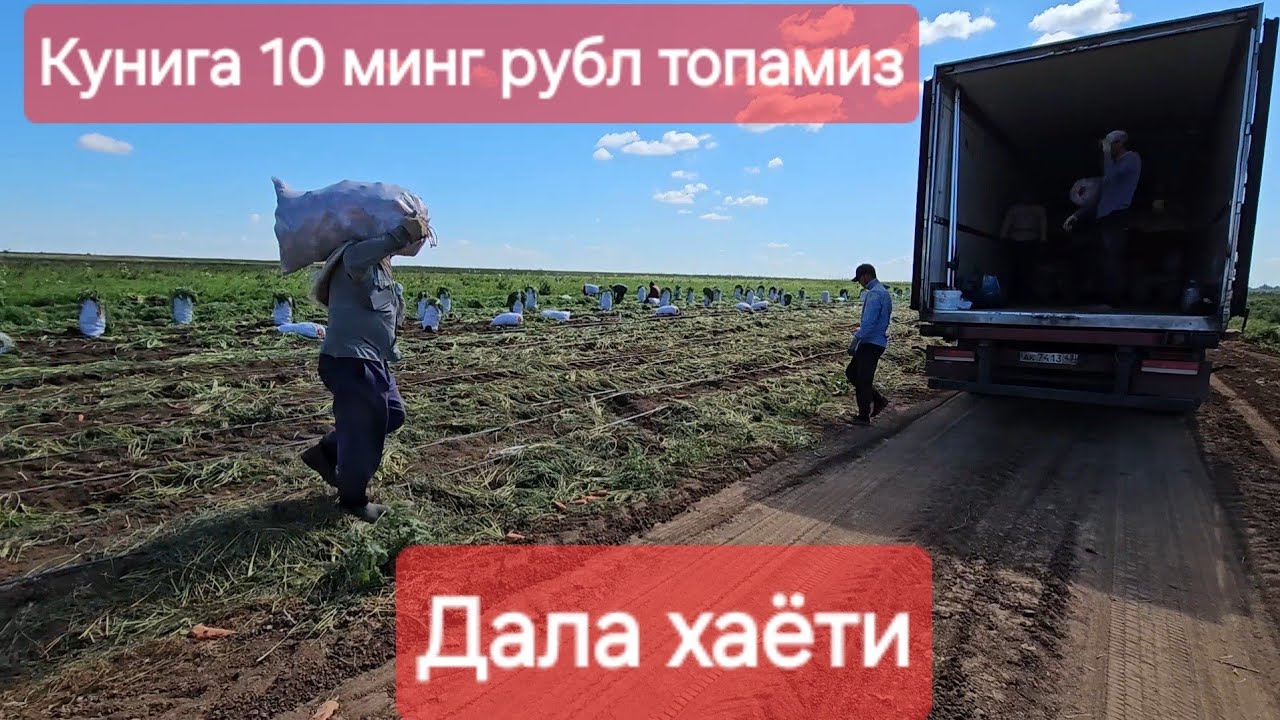 Волгоград поля хаёти #xorazm #toshkent #namangan #волгоград #buxoro #musofir #qarshi #navoi