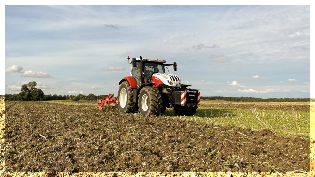 Uprawa bezorkowa pod pszenicę 2023 | 2x Steyr | Maschio Pinocchio | Unia Max | Talex Leopard