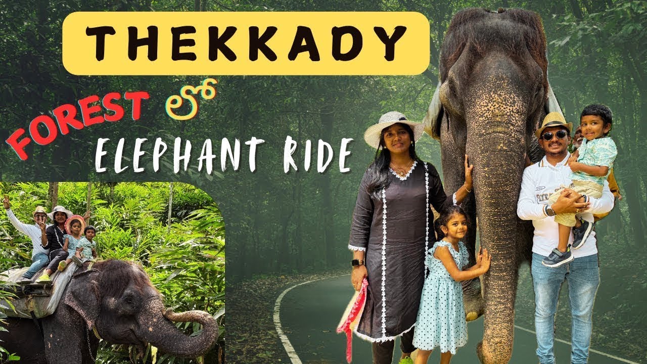 Day 6 : 🐅 Thekkady’s Treasures: Periyar Wildlife, Spice Forest Elephant Ride 🐘 & Organic Bee Farm🐝🌟