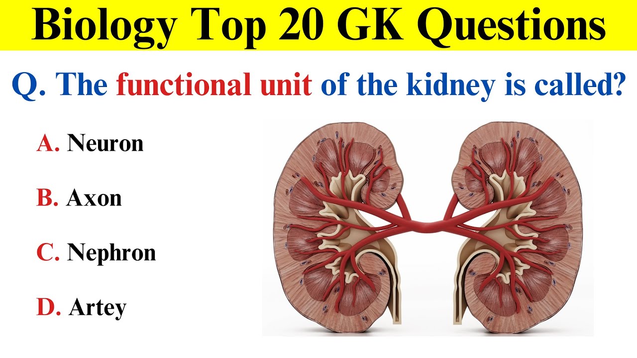 Top 20 Biology GK Questions | Human Body important GK | Part -1| Biology MCQ | Biology GK