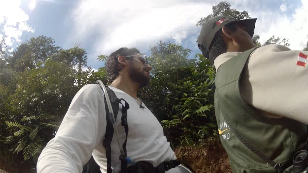 Parque Nacional Tingo María: 50 años de historia natural