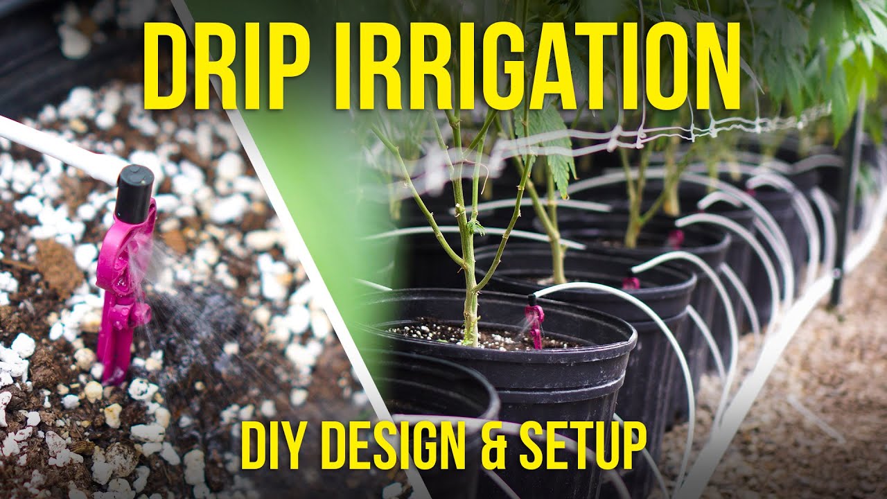 Simple DIY drip irrigation setup for any grow