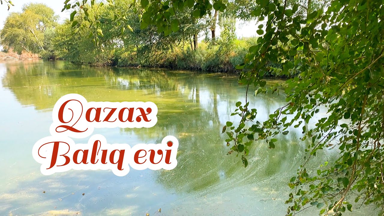 Qazax Xramuli Balığı keyfi -Qazax Enjoying The Fish