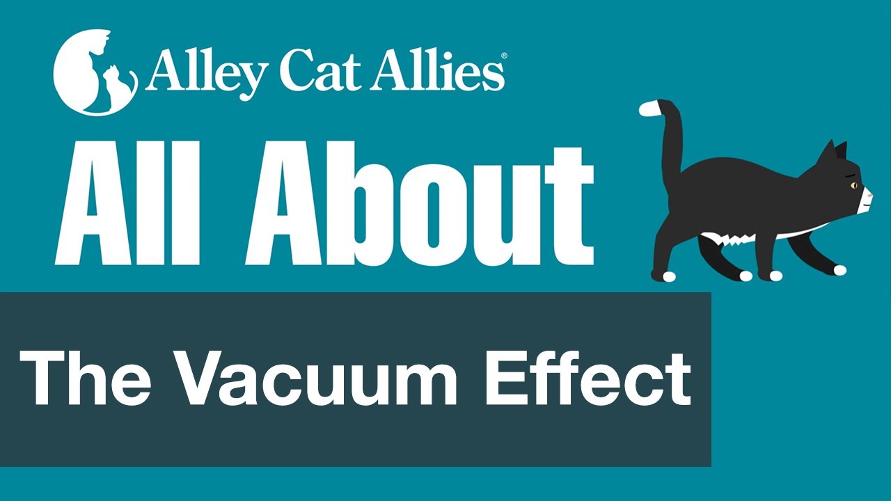 All About The Vacuum Effect