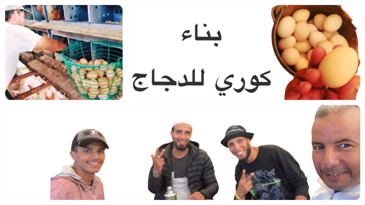 أسهل طريقة لبناء عنبر دجاج رخيص جدًا🐓🐥 للمبتدئين