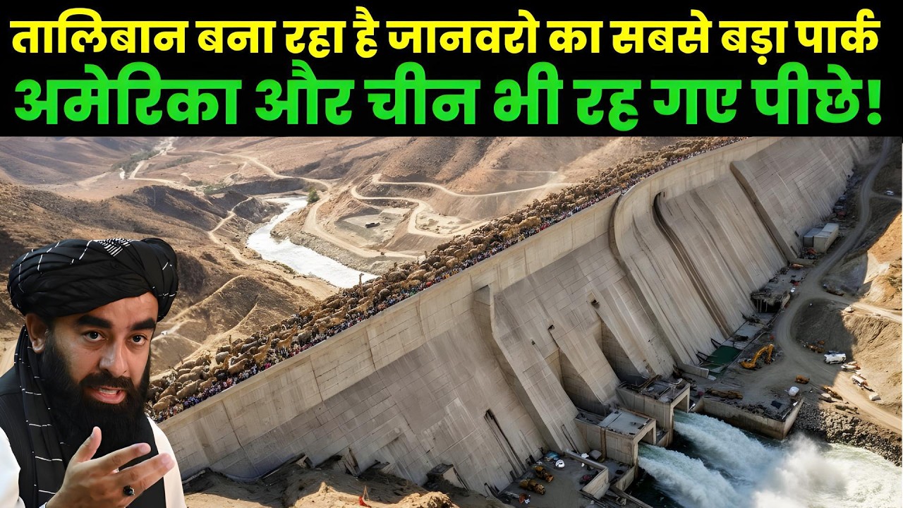 Taliban बना रहा है जानवरो का सबसे बड़ा पार्क, Taliban Animal Park Mega Project