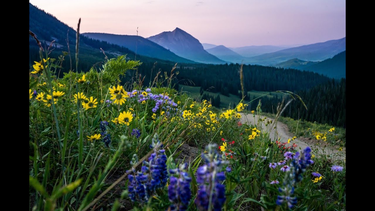 Crested Butte Wildflower Festival | About