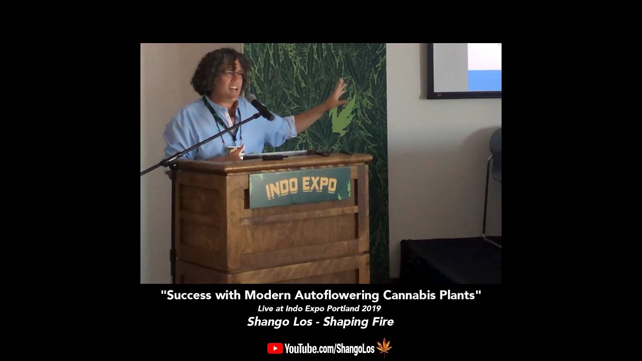 Success with Modern Autoflowering Cannabis Varieties - Shango Los at Indo Expo Portland 2019