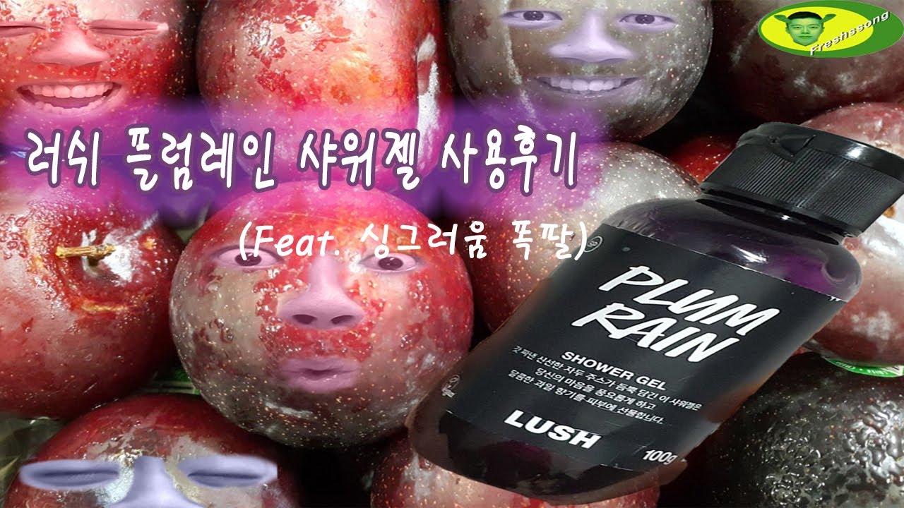 러쉬플럼레인(샤워젤)리뷰 - 비오는날추천제품[프레쉬쏭]