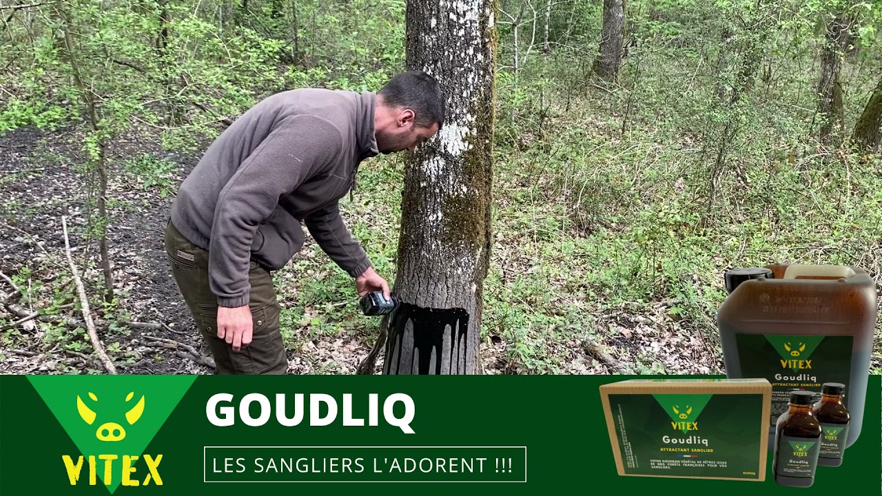 GOUDLIQ : Attractant sanglier 🐗