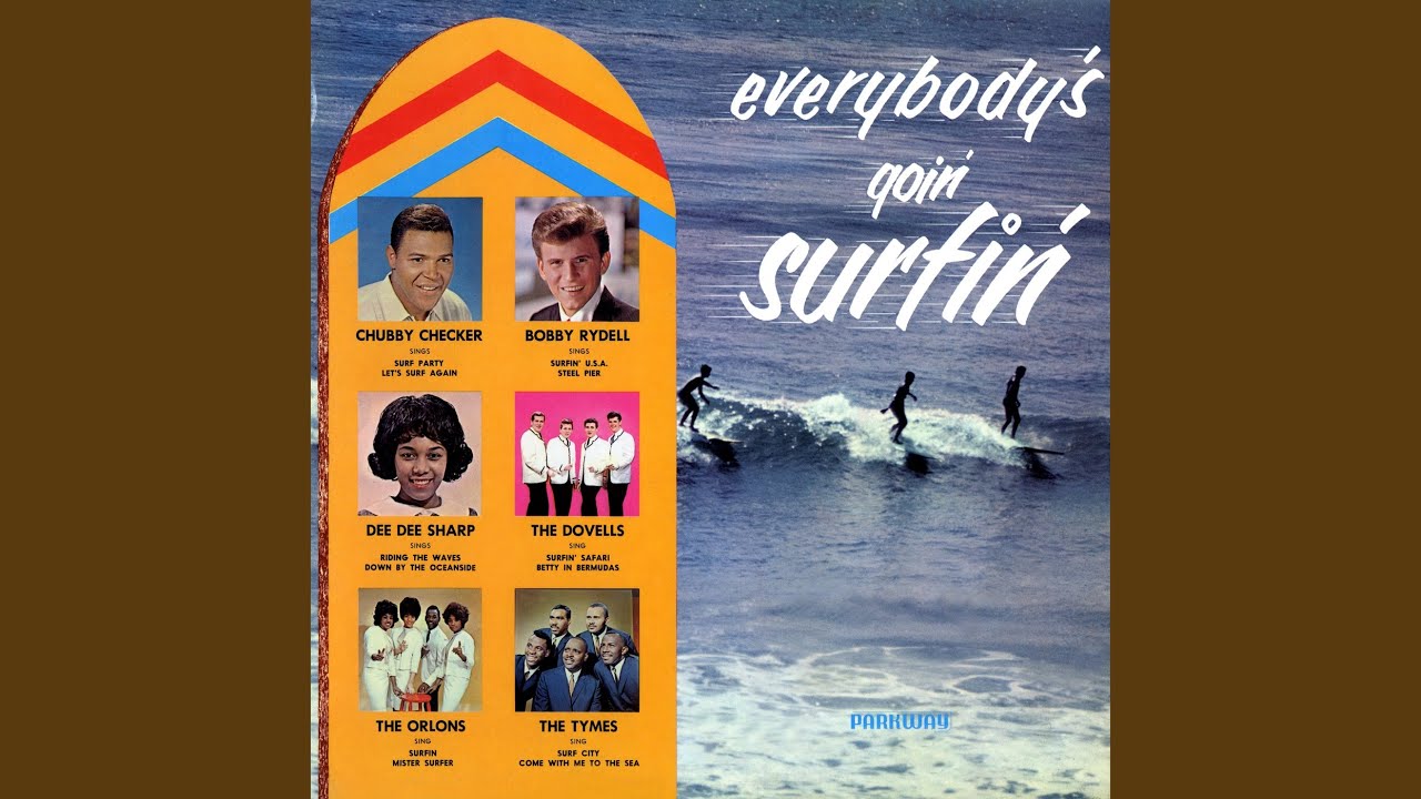 Mister Surfer