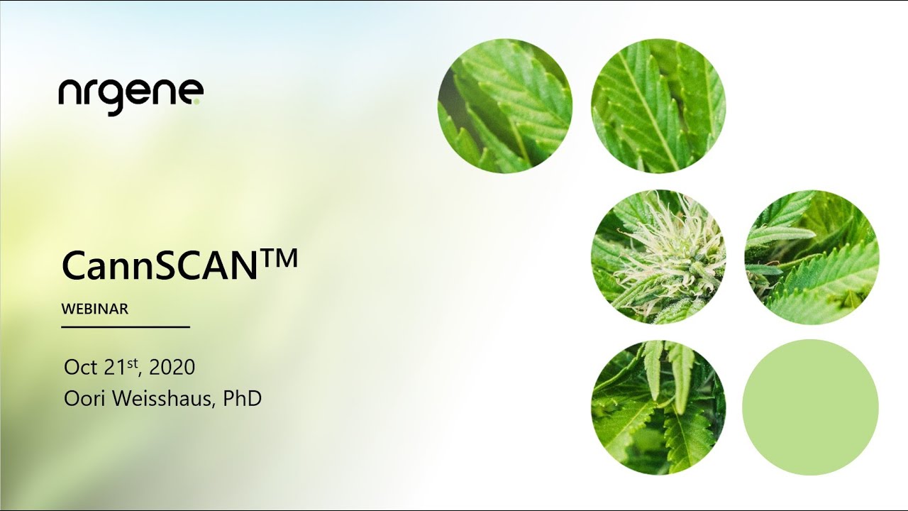 CannSCAN&trade;   Identifying the Barcode of your Cannabis and Hemp Strain