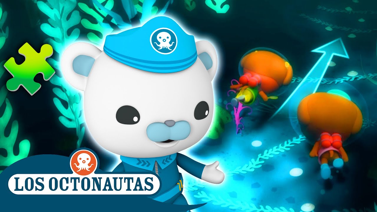 Los Octonautas -  🧩 Acertijos y misterios marinos  🔍 | El regreso a clases 🎒 | Episodios Completos