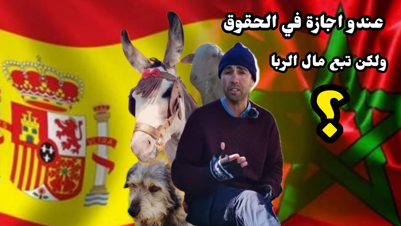 الحلقة 33: عندو اجازة في الحقوق... ولكن تبع مال الربا 💵... ؟