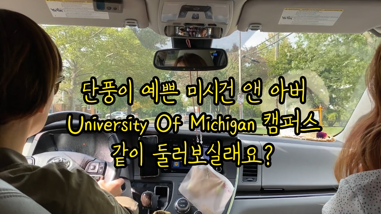 [미국 간호사] 미시건 앤아버 여행 | 공원, 주립대, UOM 캠퍼스 풍경 | University of Michigan campus