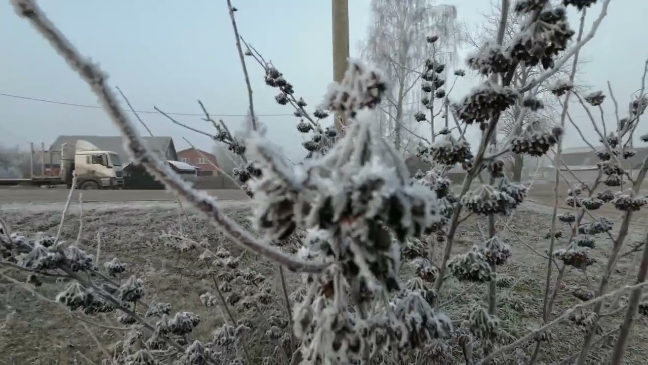 Хвастовичи. Моя родина.