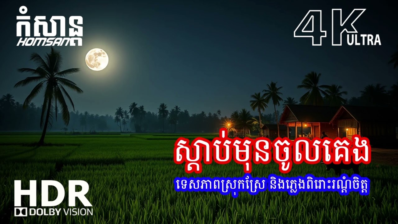 🎶 សម្លេងតន្ត្រីស្ងប់ស្ងាត់ពេលយប់ – ជួយឲ្យគេងលក់ជ្រាលជ្រៅ និងសម្រាកល្អ