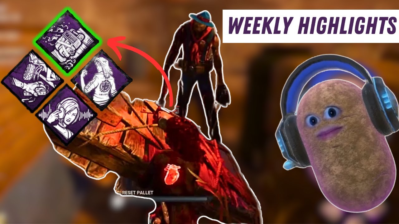I've started taming killers with this build | Weekly Highlights