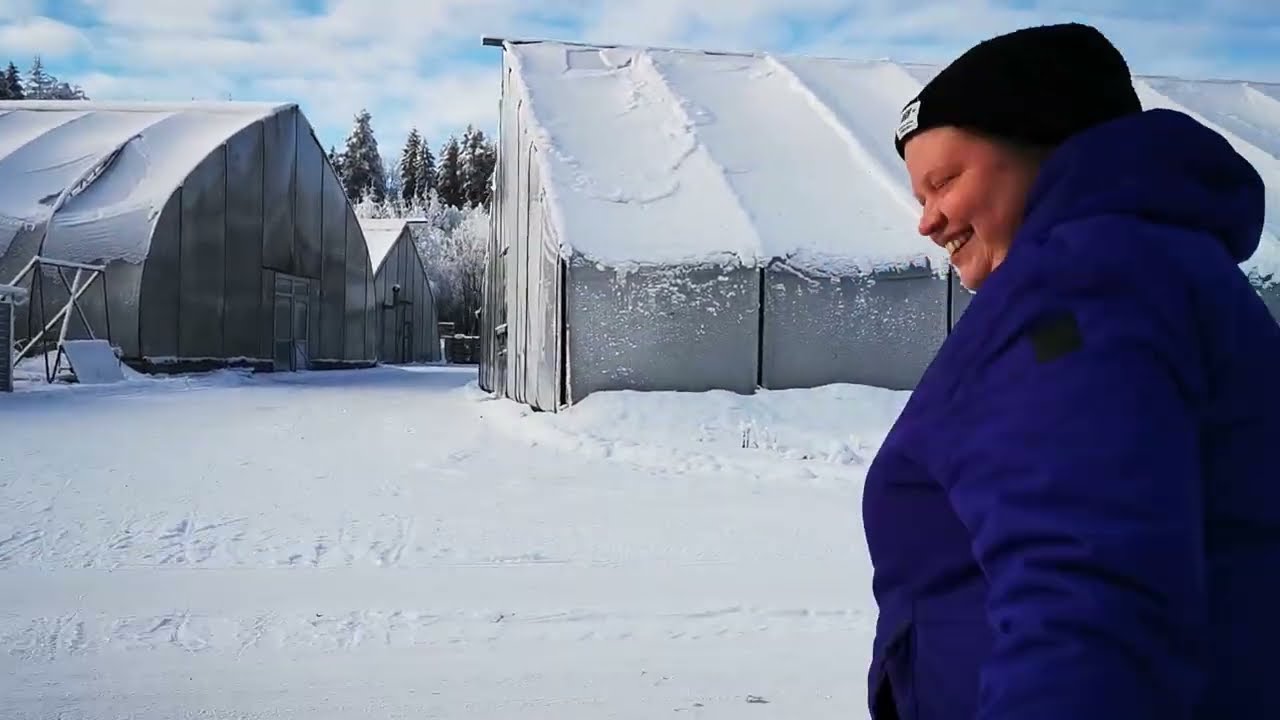 Kompassin Työmyyrät - Mitä työpaikka, työkaverit ja työyhteisö merkitsee