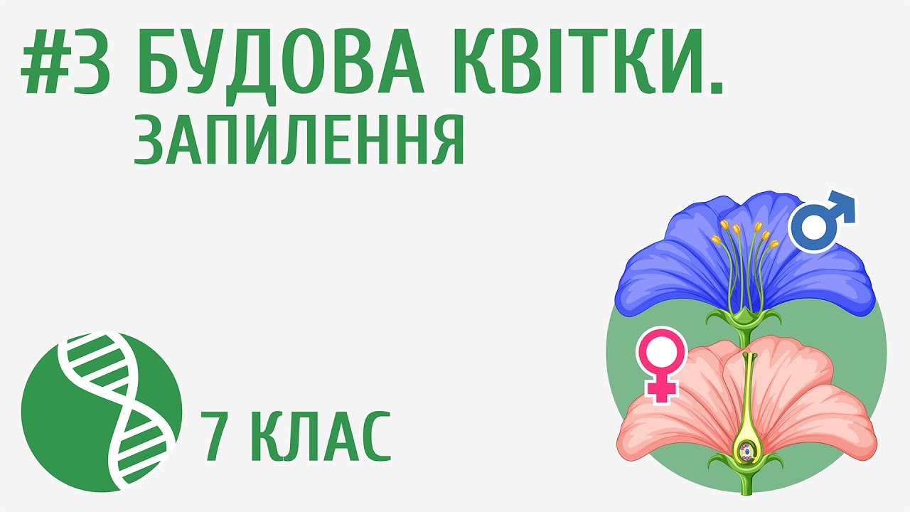 Будова квітки. Запилення #3