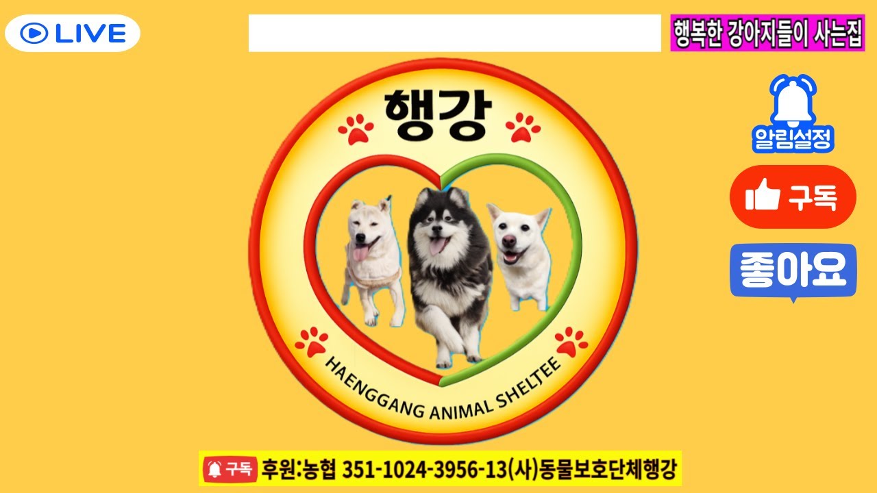 일요일저녁 소통방송