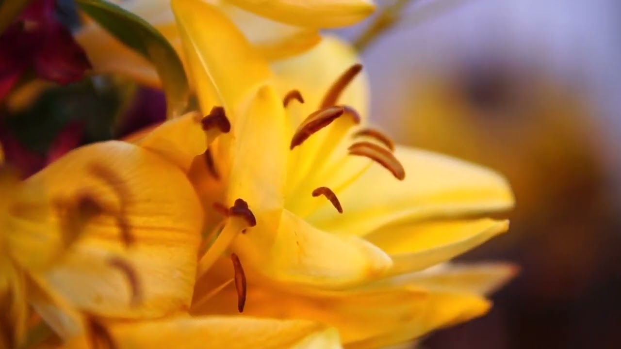 Introduction To Luxury Travel For Singles Over 40