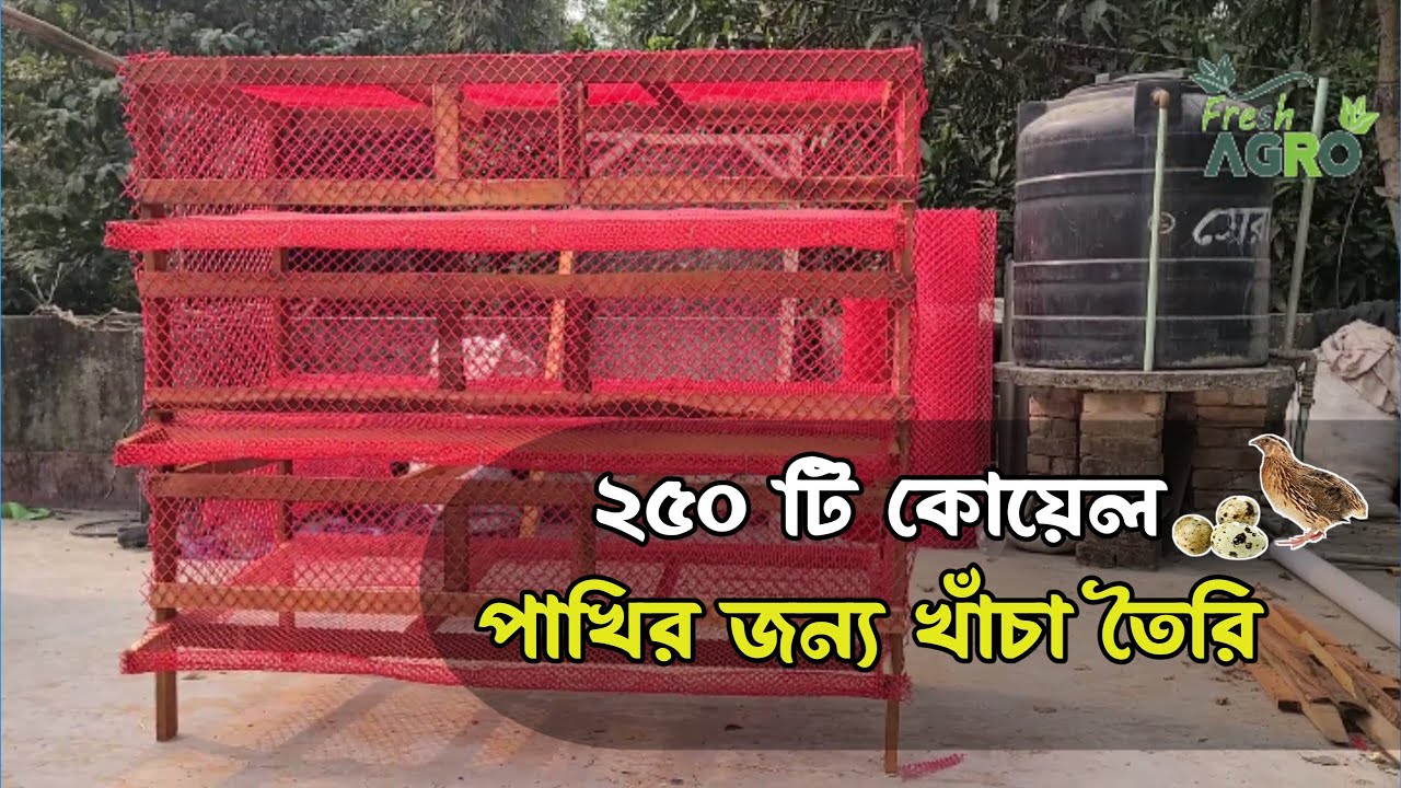 ২৫০ টি কোয়েল পাখির জন্য খাঁচা তৈরি | How I Built A Quail Bird Cage #freshagro