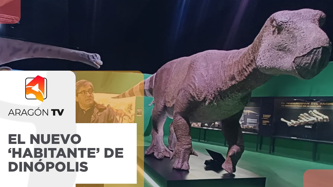 El nuevo 'habitante' de la subsede de Din&oacute;polis en Galve