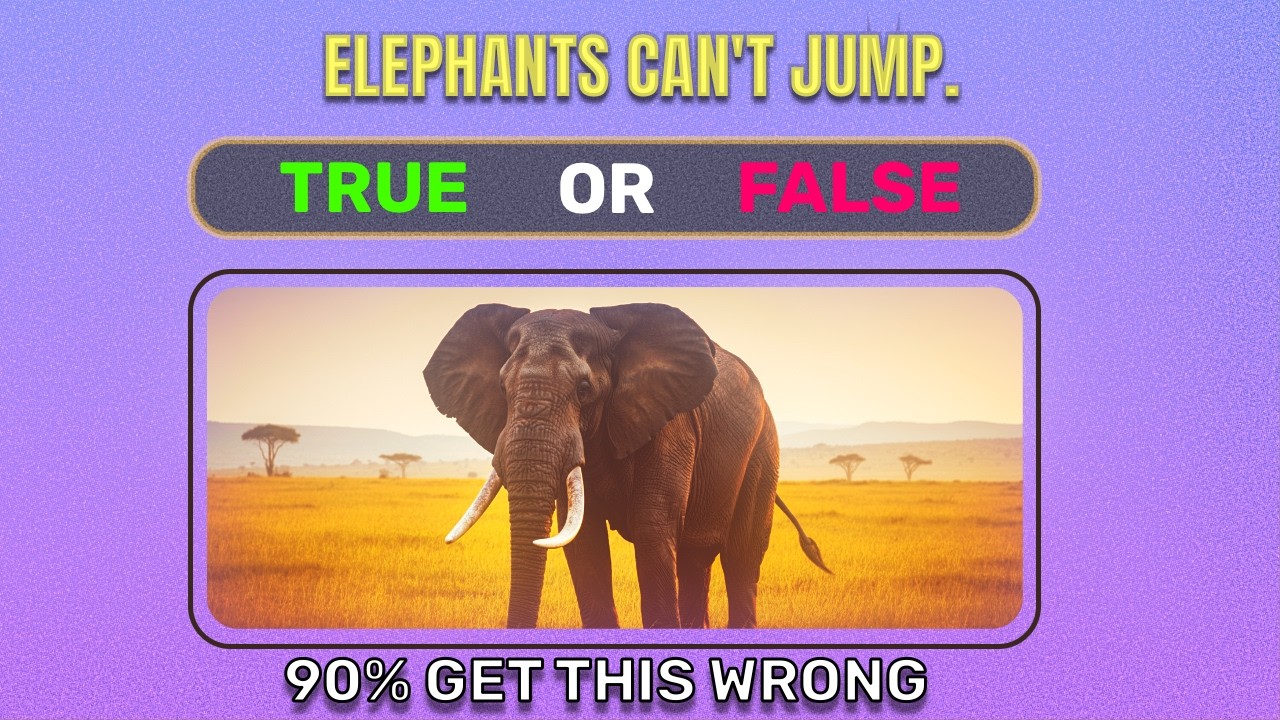 Animal IQ Test: FACT or FICTION?