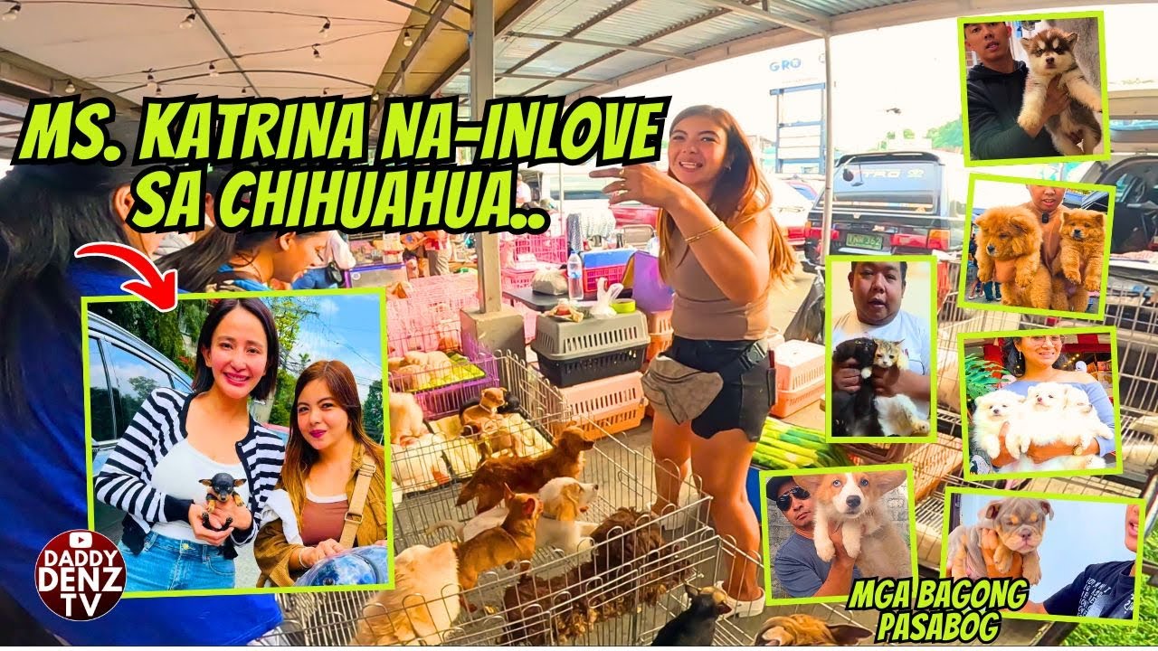 KAHIT MGA ARTISTA MAY GUSTONG PET DITO..  / FEB. 1 @GROTTO PETS & LIVESTOCK MARKET