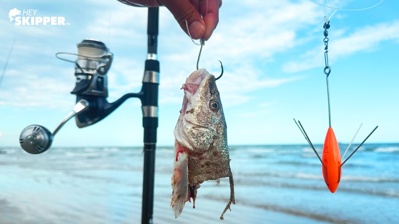 I Used EVERYTHING I Caught as Bait on a Secluded Beach (Galveston, Texas)