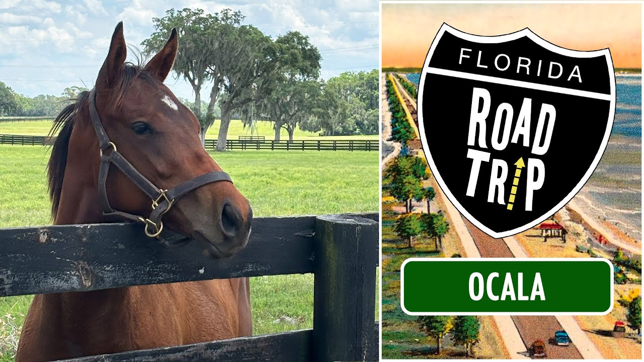Florida Road Trip: Ocala (2025) | FULL EPISODE