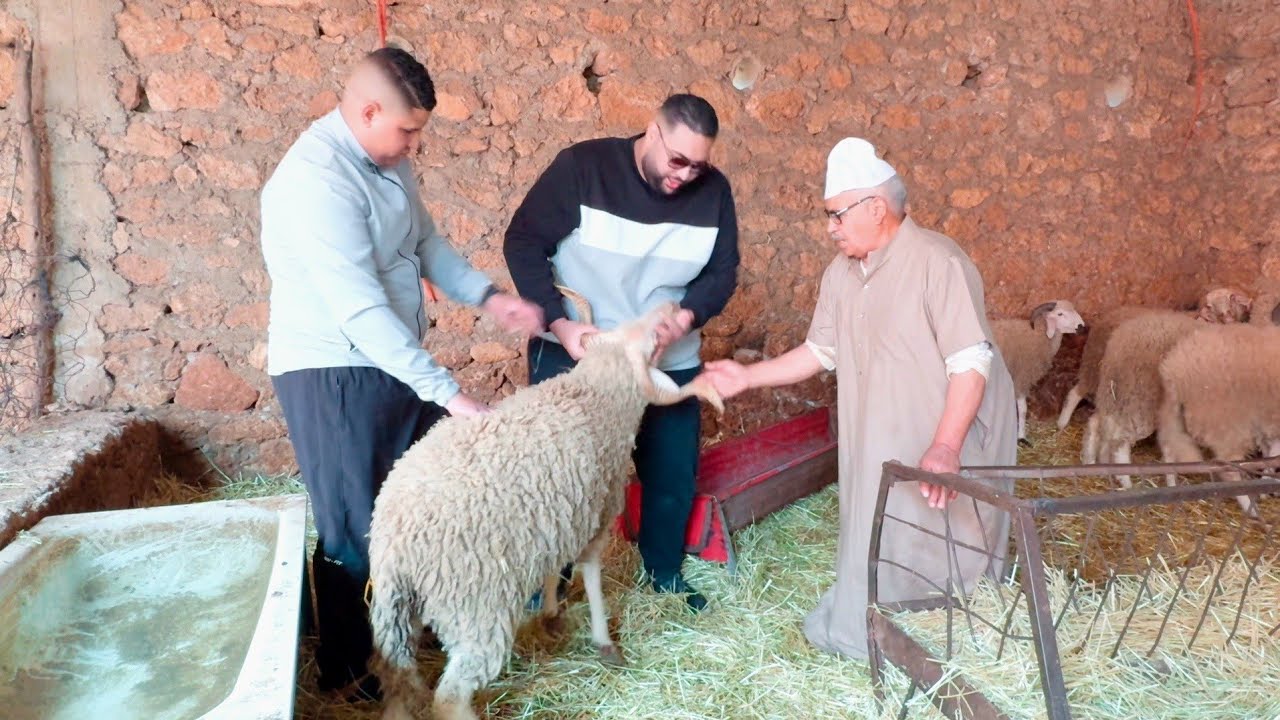 ها بشحال كيبيع با قدور الحولي ديال عيد الأضحى 🤔 المليح والثمن جد مناسب