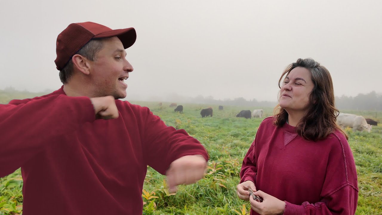 Live Chat w/Gold Shaw Farm