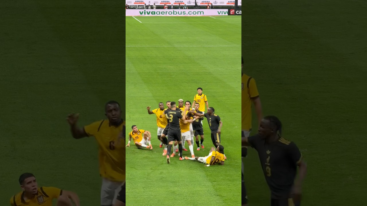 Se sali&oacute; de control el M&eacute;xico vs Ecuador #futbol #mexico #ecuador #fifa #seleccionmexicana