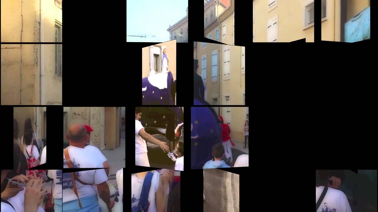 le poulain et le pellican