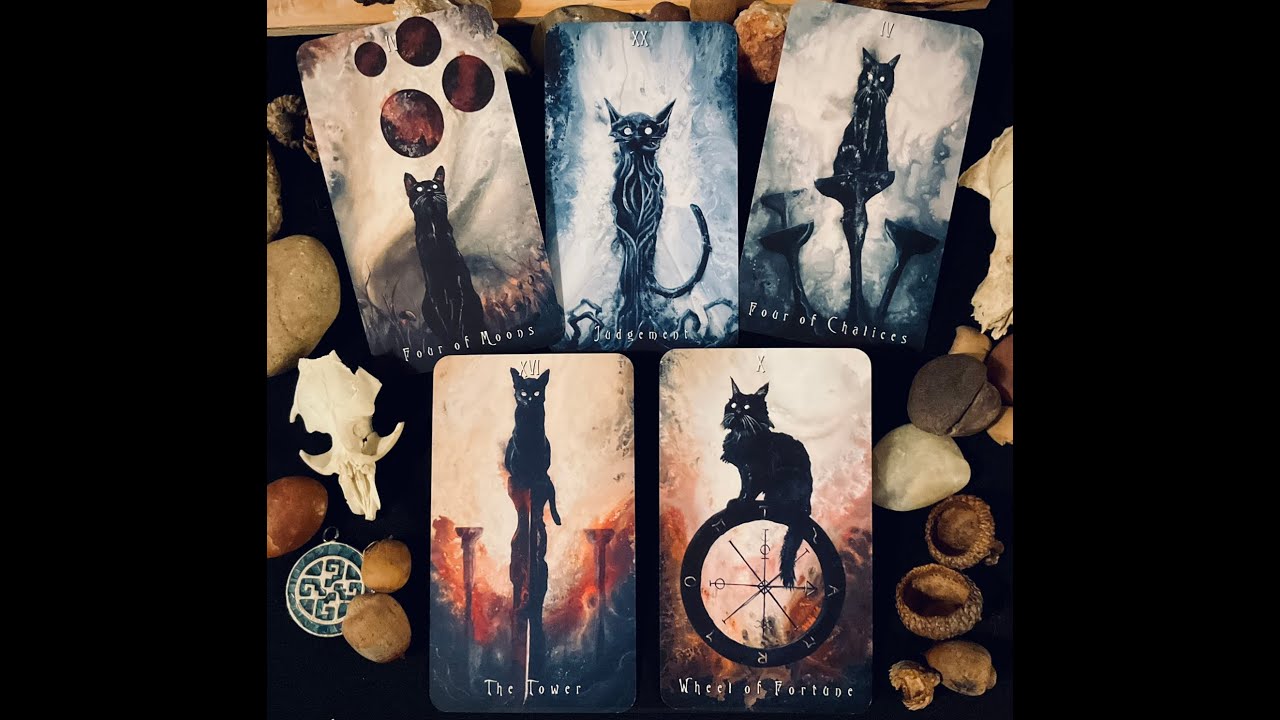 The Haunted Cat Tarot Deck