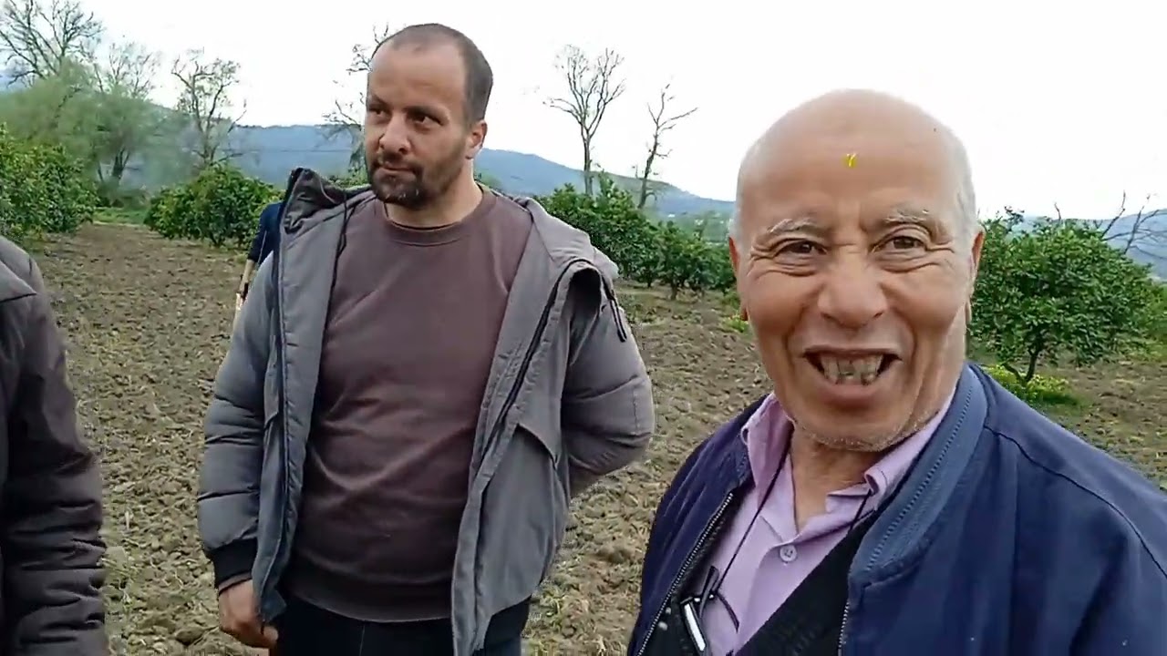 Une tournée dans le verger d'agrumes et les propos des participants à la journée de la taille