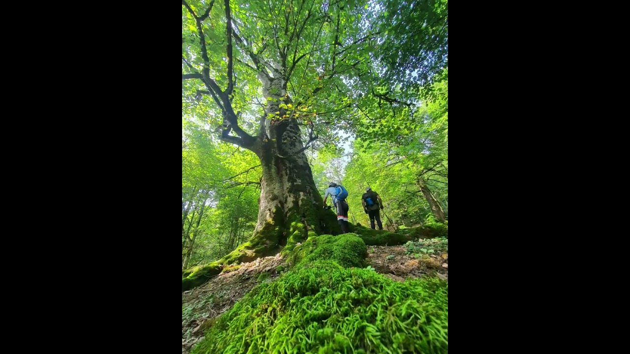 Farakhin lake&zwnj;,Veysar,Mazandaran Province