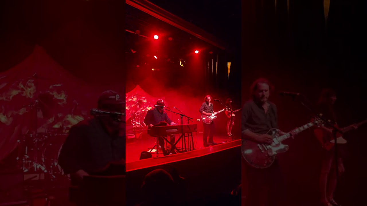 Silversun pickups at the observatory in Santa Ana 2/19/226 