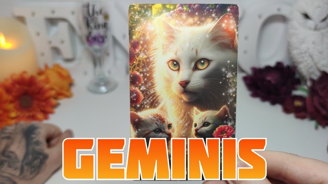 GEMINIS ♊️ HABLÓ DE TI AYER CON UNA MUJER Y ESTO DIJO 😳💬 HOROSCOPO #GEMINIS HOY TAROT AMOR