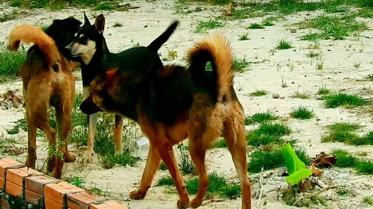 Good team boy love boy young boy try to hugs friend more and more sweet life