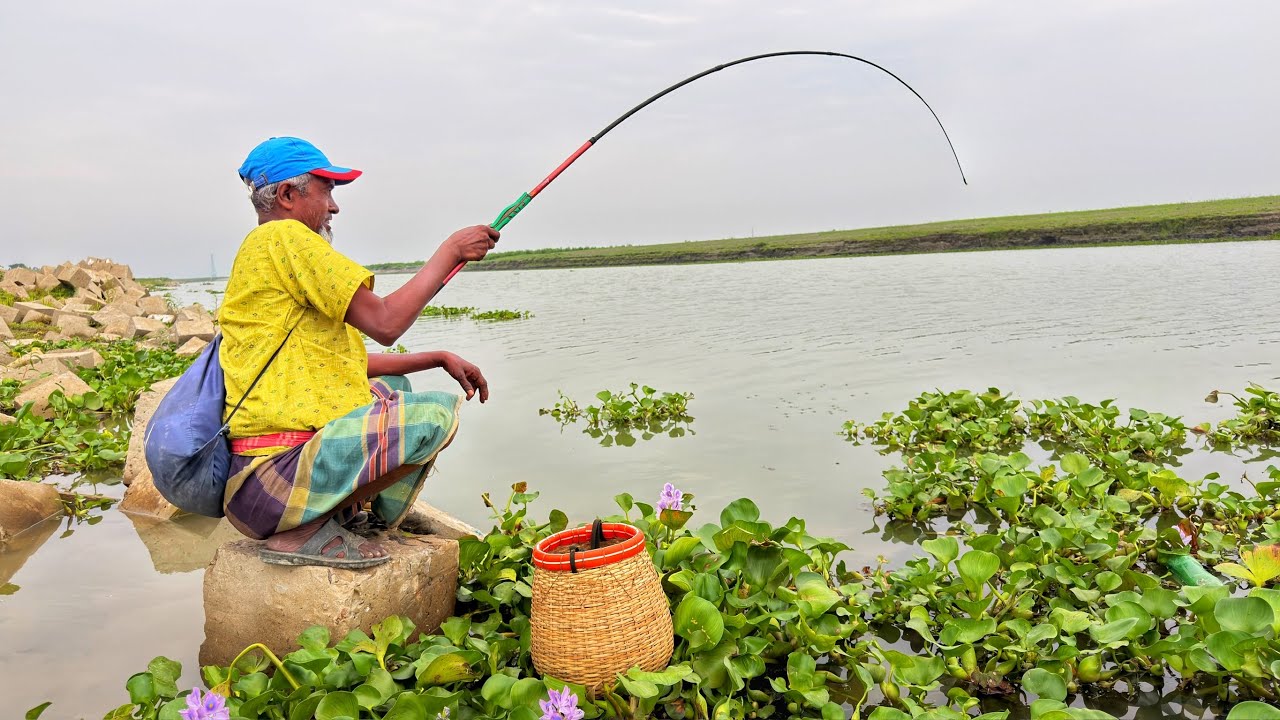 Akkas uncle's crazy fishing in the Jamuna 🎣🎣 Fishing in the Jamuna River | Fishing video | Fishin...