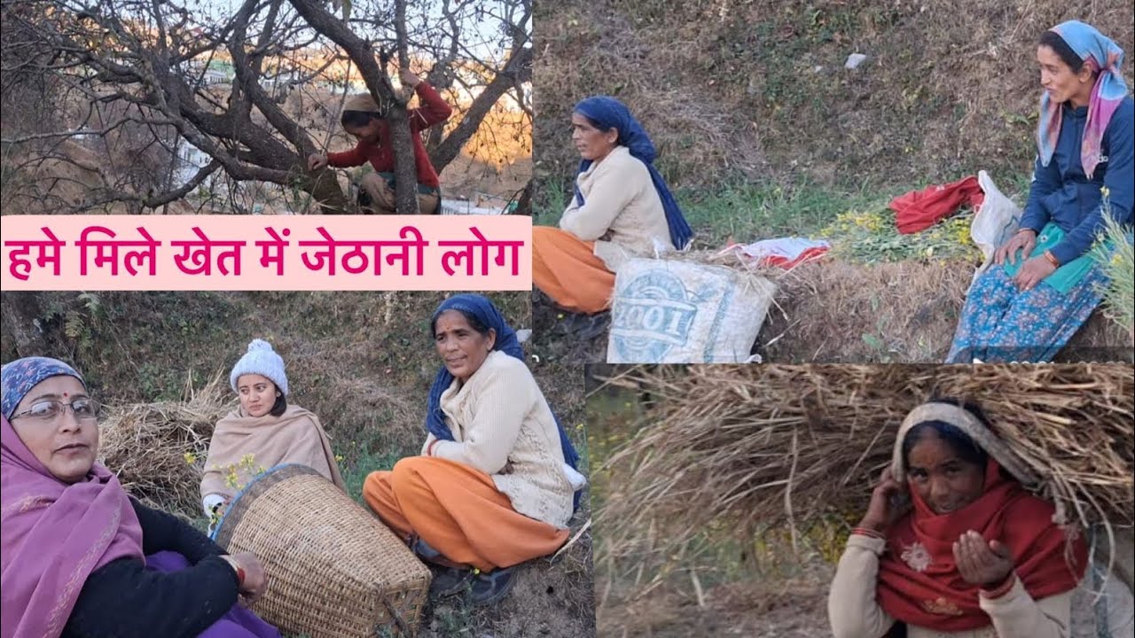 आज की दिनचर्या 💁‍♀️ #phadilifestyle #vlog #hemakirasoi 