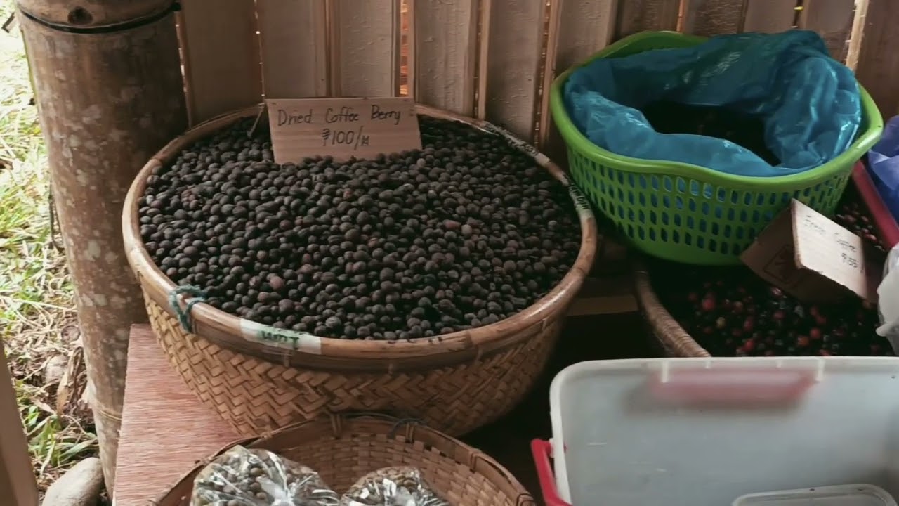 Bodong Agro-Fair