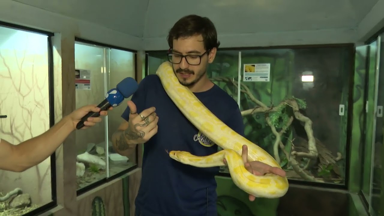 Alô Paraíba - Aquário Paraíba vira sala de aula para estudantes da capital