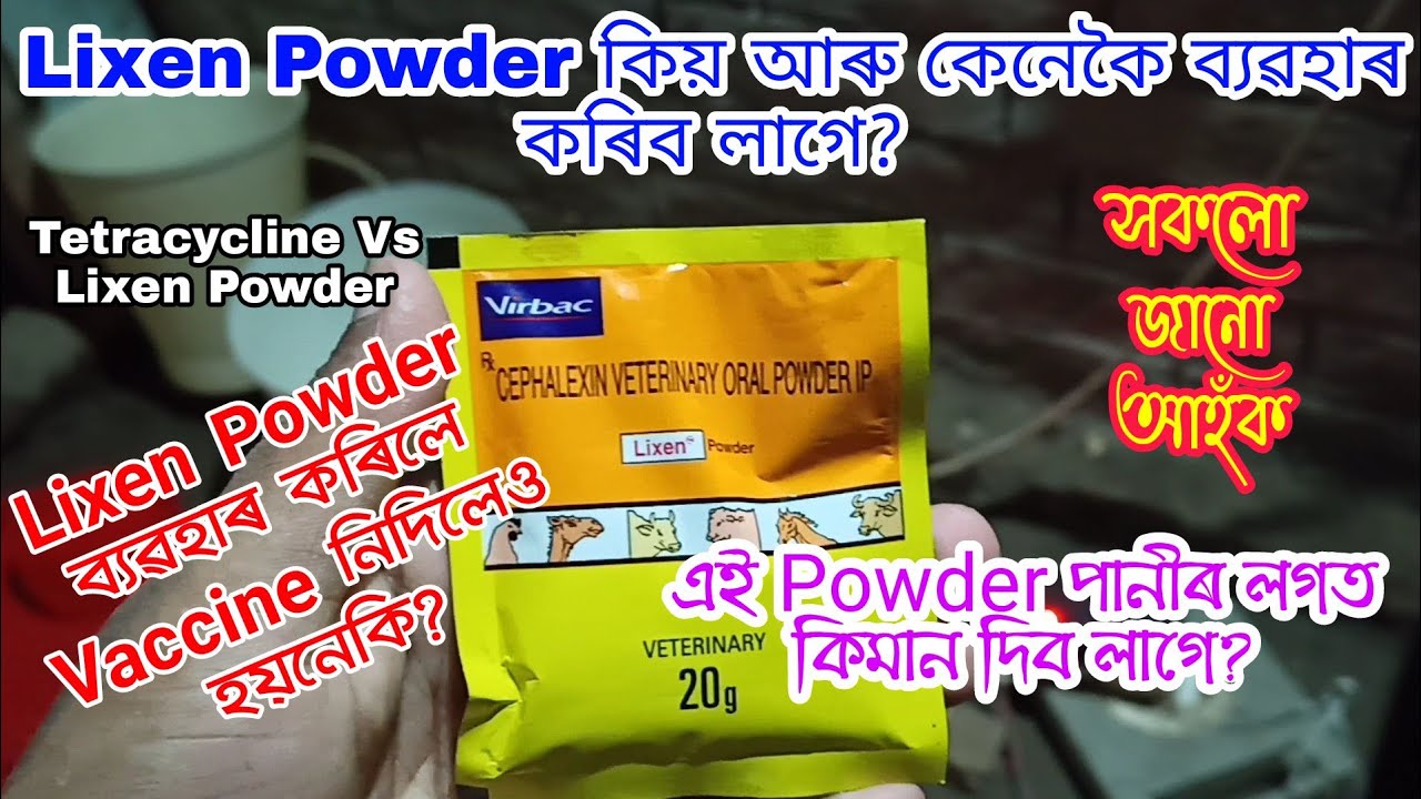 মূৰ্গীৰ আটাইতকৈ ডাঙৰ দৰৱ Lixen Powder কিয় আৰু কেনেকৈ ব্যৱহাৰ কৰিব লাগে || Local Murgi Antibiotic