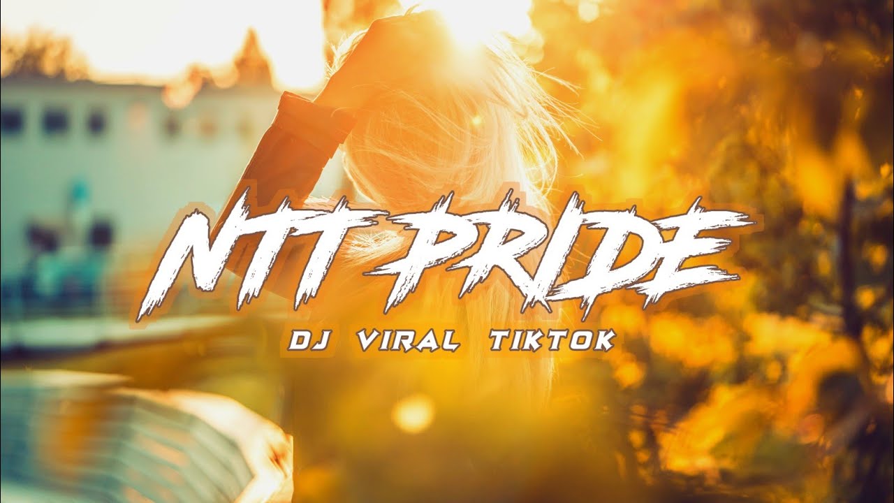 Dj Viral TikTok - NTT Pride (Hans Elsiwa ft. Ichal Karibo)